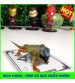 Bộ  31 thẻ Animal 4D siêu hot